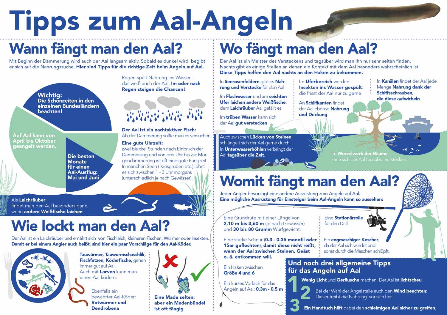 Tipps zum Aal-Angeln