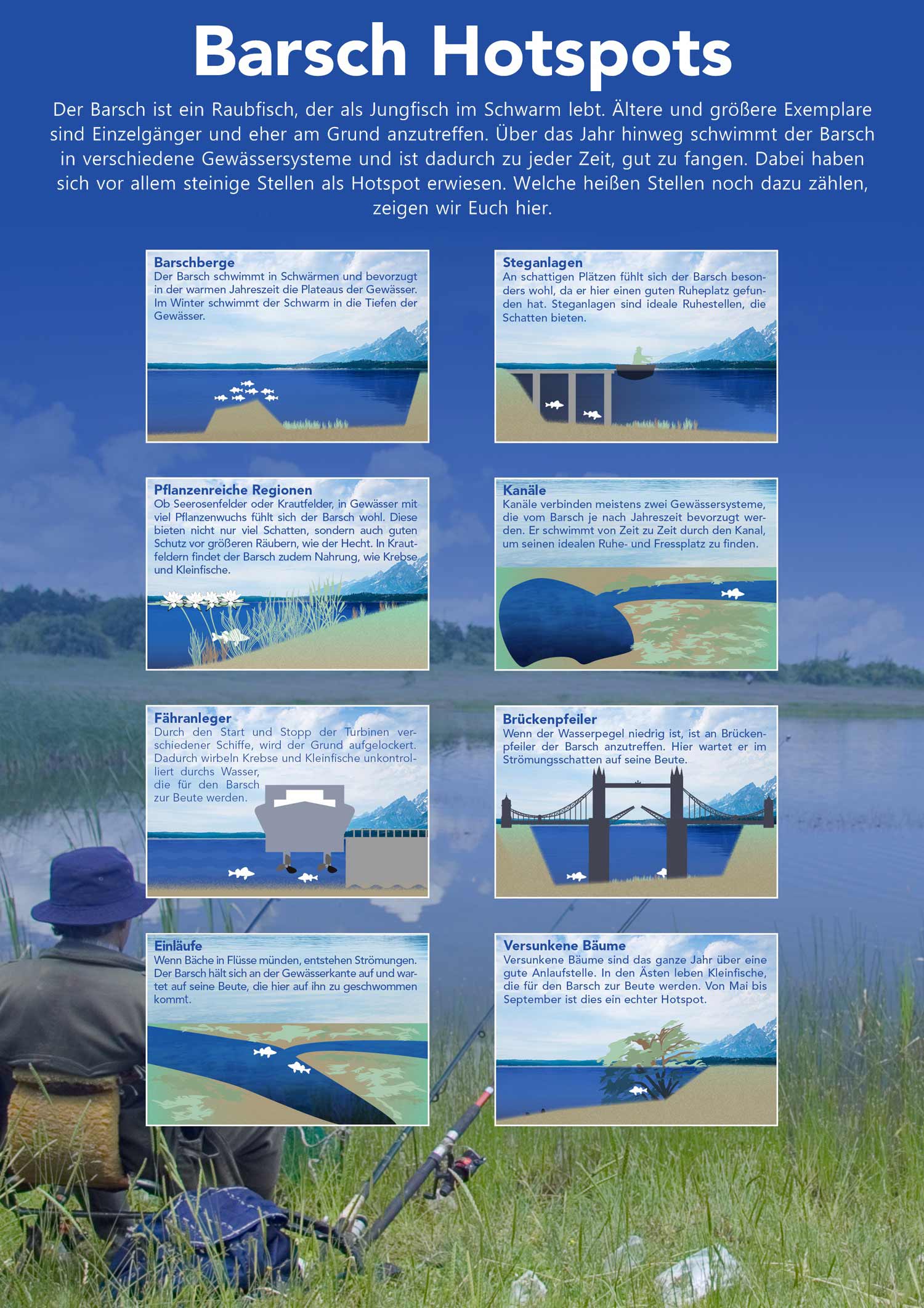 Barsch Hotspots