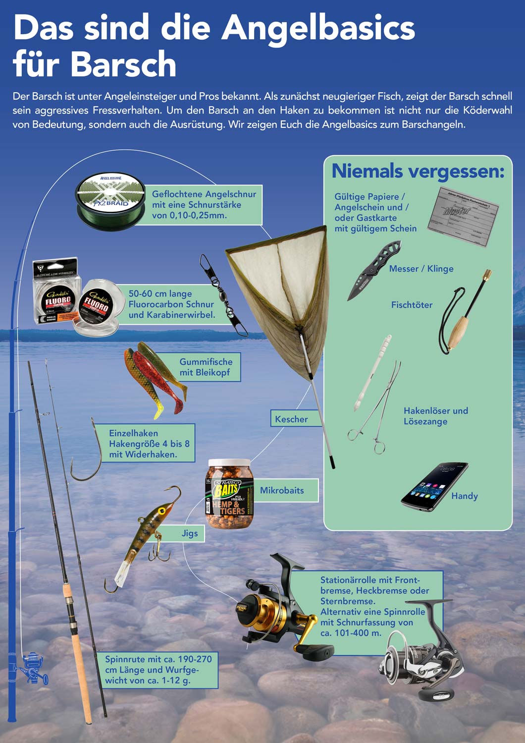 Das sind die Angelbasics für Barsch