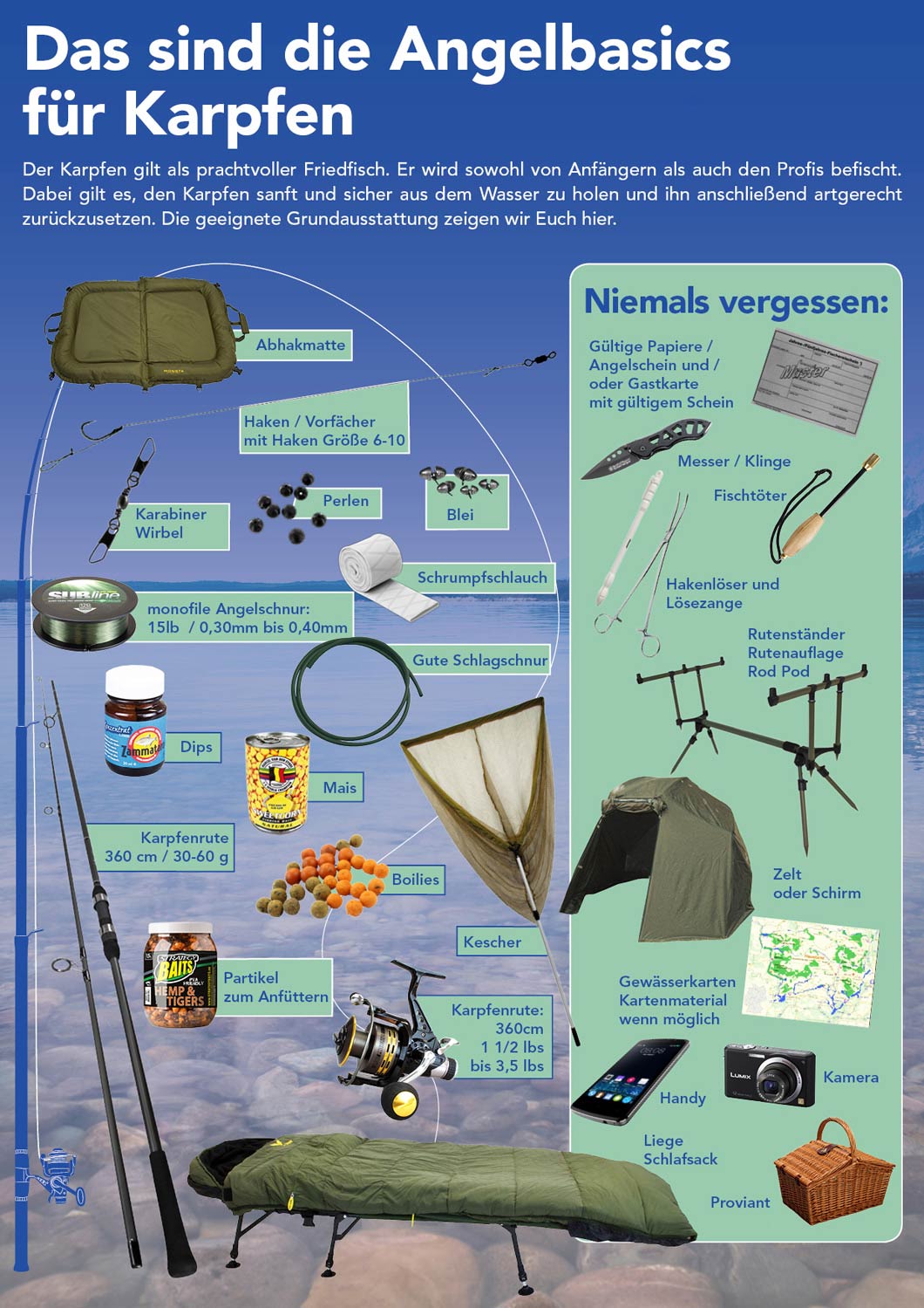 Das sind die Angelbasics für Karpfen