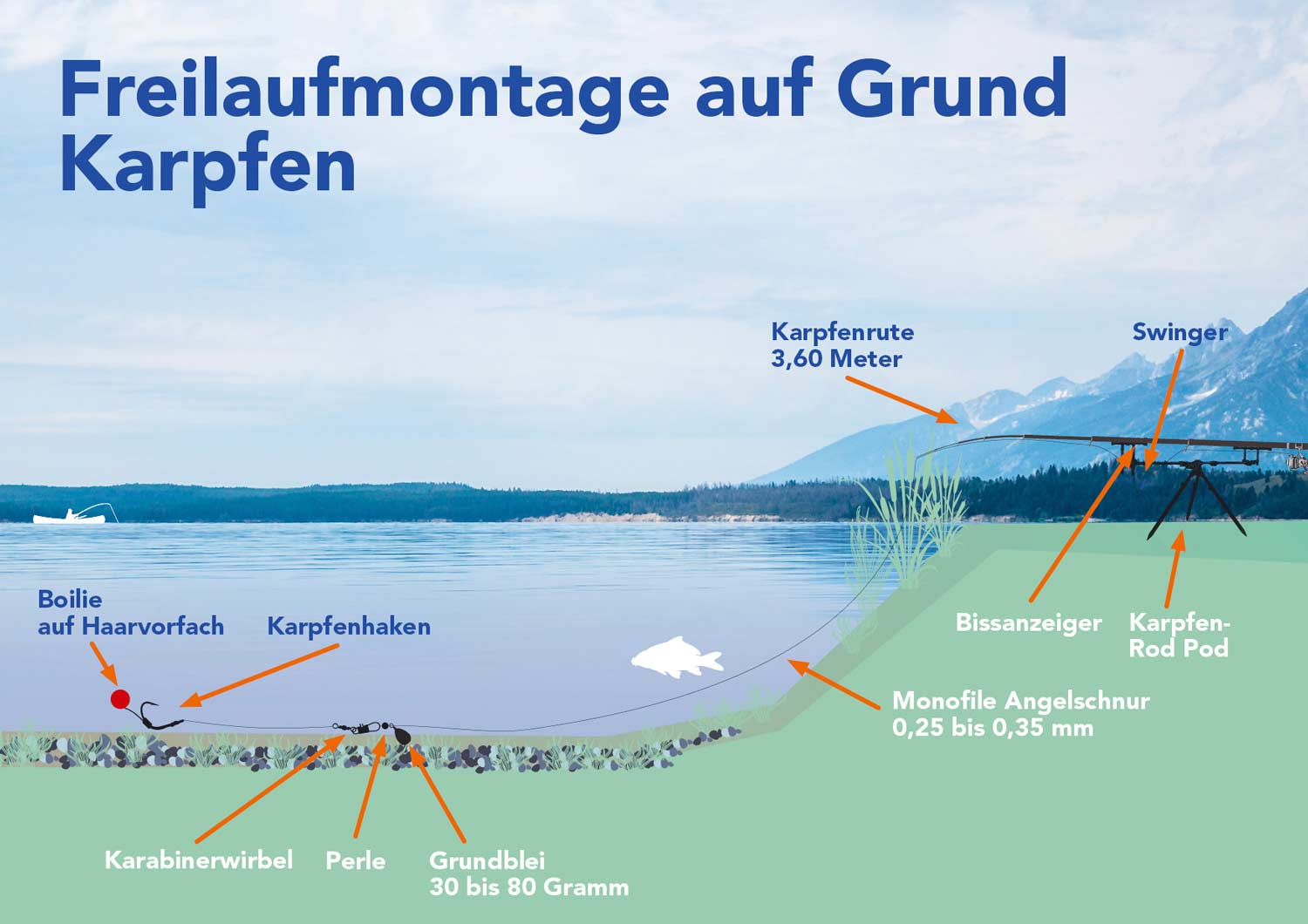 Freilaufmontage auf Grund, Karpfen