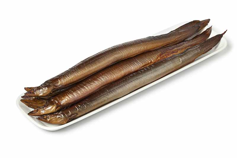 Räuchfisch: Aal