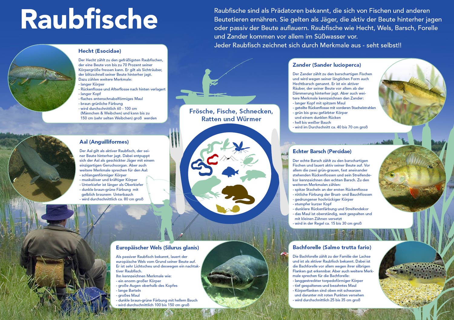 Raubfische - Alles auf einen Blick